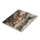 Search for tree bark tiles Rustic