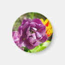 Search for sunnis magnets Design