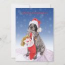 Search for helpers cards Dog