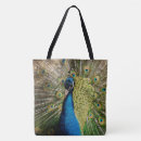 Search for bashful accessories Animal