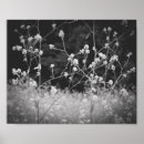 Search for whimsical posters Black and white