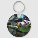 Search for blue turtle key rings Green