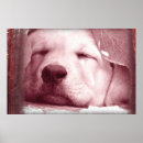 Search for process photography Vintage