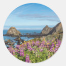 Search for highway one stickers Coastline