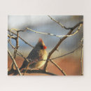 Search for cardinal puzzles Cute