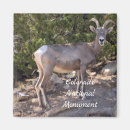 Search for national monument magnets Souvenir