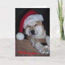 Search for shiba inu christmas cards Dog