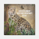 Search for butterfly magnets Inspirational