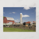 Search for silo postcards Usa