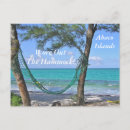 Search for turtles horizontal postcards Green turtle