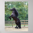 Search for friesians art Pony