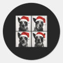 Search for cattle stickers Funny christmas