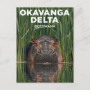 Search for botswana postcards Hippo