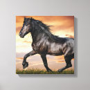 Search for black horse canvas prints Horses