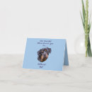 Search for rottweiler puppies cards Rottweilers