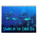 Search for shark calendars Fish
