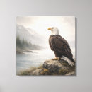 Search for bald eagles canvas prints Nature