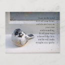Search for proverbs 3 postcards Scripture