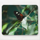 Search for butterfly tree mouse mats Branch