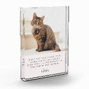 Search for dog remembrance Sympathy
