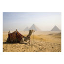 Search for middle east posters Pyramid