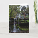 Search for water fall cards Trees