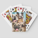 Search for play group Pet