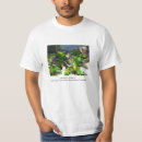 Search for lorikeets tshirts Corella