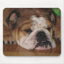 Search for bully mouse mats Puppy