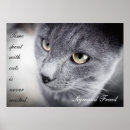 Search for motivational cat posters Cats