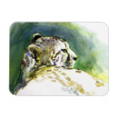 Search for cheetah cat magnets Watercolor