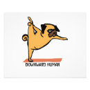 Search for funny yoga posters Animal