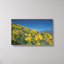 Search for high top canvas prints Flowers