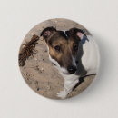 Search for hunde Terrier