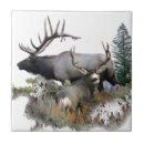Search for buck tiles Animals