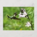 Search for ruby throated cards Green