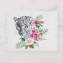 Search for leopard portrait postcards Safari