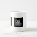 Search for 4 drinkware Photography