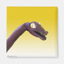 Search for snake pet magnets Pets
