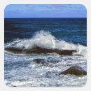 Search for wave stickers Shoreline