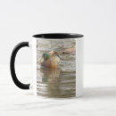 Search for mallard duck mugs Photography