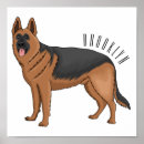 Search for german shepherds posters Alsatian