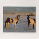 Search for horses and snow puzzles Bob langrish