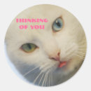 Search for thinking of you stickers White