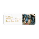 Search for australian shepherd return address labels Pet