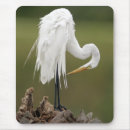Search for egrets mouse mats Birds