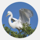 Search for florida usa stickers Bird