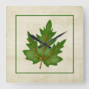 Search for green leaf clocks Outdoors