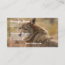 Search for coyote business cards Wildlife