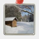 Search for snowy christmas tree decorations Frozen